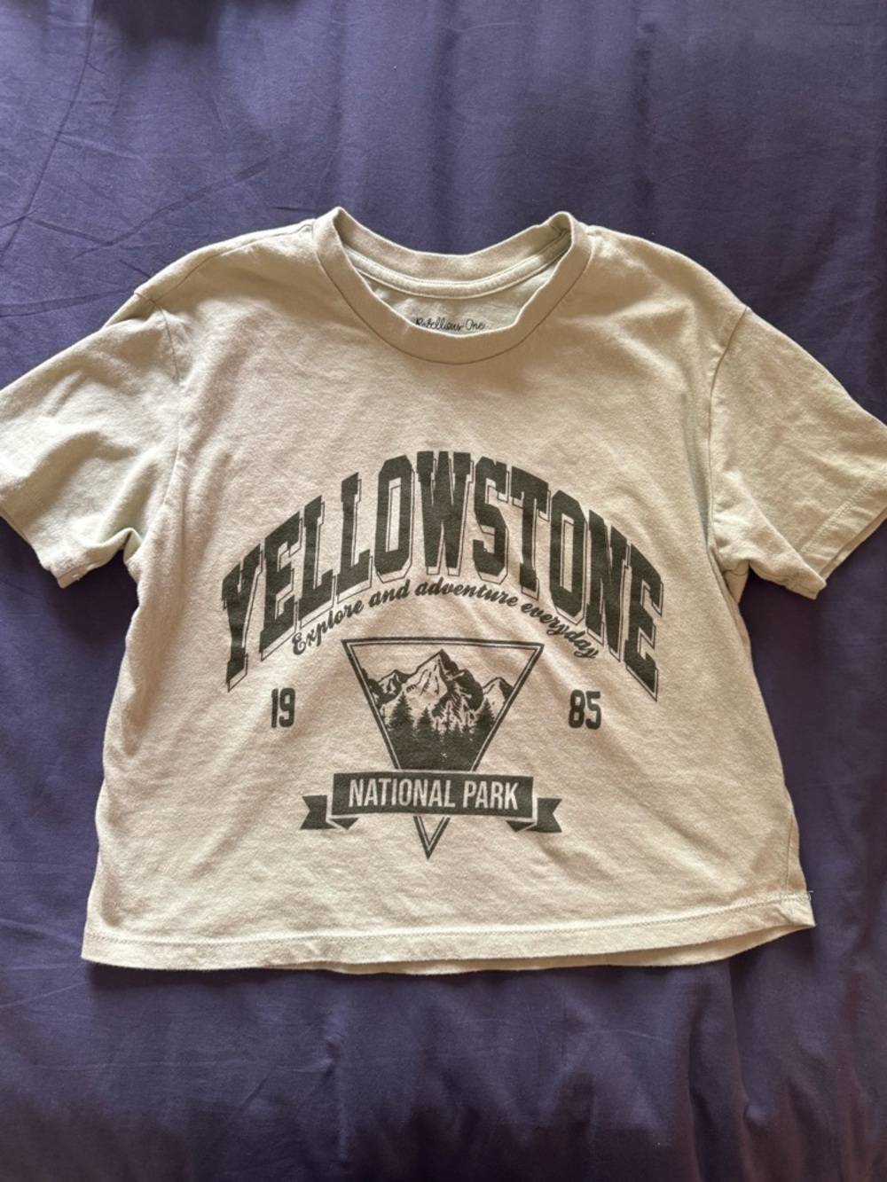 Yellowstone Graphic Cropped T-Shirt - faded lime green